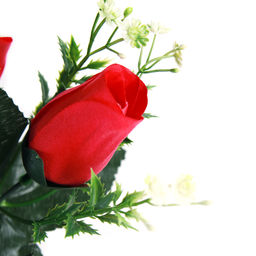 Сухоцвет набор 5 штук 120 см Роза / 1810-13 /уп 140/А - ГалеонТрейд фото 3