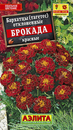 Бархатцы Брокада красные 0,3г (Аэлита)