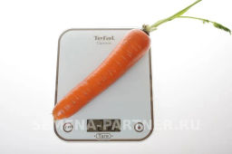 Морковь Дарина - Партнер фото 3