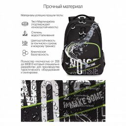 RU-230-1 Рюкзак - Grizzly фото 33