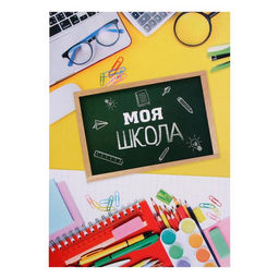 Папка школьная на кольцах «Портфолио школьника», 10 листов-разделителей, 24.5×32 см