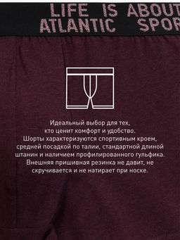 ATLANTIC 3MH-226 Трусы шорты Melange - набор 3 шт. зеленый меланж + винный меланж + голубой меланж  фото 7