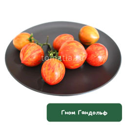 Гном Гандольф