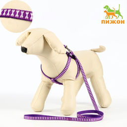 Комплект прошитый Косточки, ширина 1 см, поводок 120 см, шлейка 23-35 см, фиолетовый