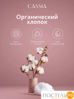 Простыня на резинке CASSIA АДЭМ хлопок-сатин  фото 3