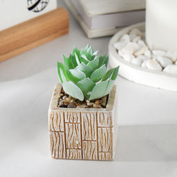 Цветочная композиция Кактус / WER-15 /уп 12/288/ микс - Галеонтрейд фото 4