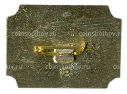 Значок Санкт-Петербург дворец-музей А.Д.Меншикова