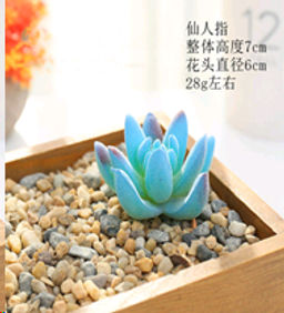 Суккулент искусственный 5х7 см / GN144 /уп 100/