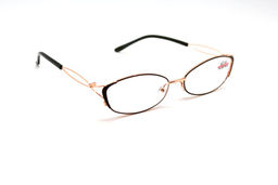 Готовые очки - Ralph 6026 с2 +3,5