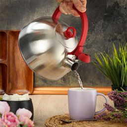 Чайник нерж. сталь, 2.8 л, со свистком, зеркальн., ручка с покр., нейлон, Daniks, индукция GS-04003