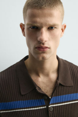 POLO PUNTO JACQUARD RAYAS / Marr?n - Zara фото 6
