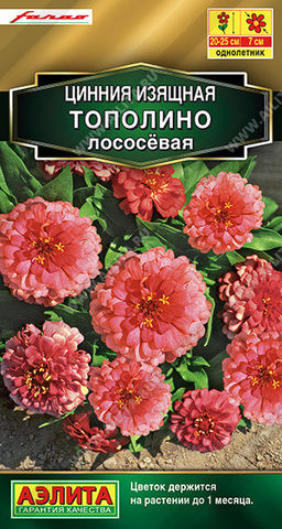 1927A Цинния Тополино лососевая 12шт