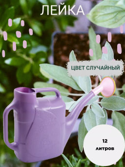 Лейка 12л ДАЧНАЯ с рассеивателем
