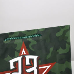 Цена за 2 шт. Пакет подарочный ламинированный, упаковка, «С 23 февраля», ML 25×21×8 см