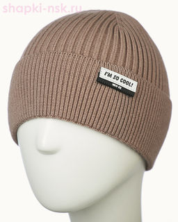 04-79-M (о) Шапка для мальчика (52-54)
