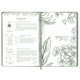 Записная книжка, А5, арт. 54296/ 10 ЦВЕТЫ - Феникс+ фото 5