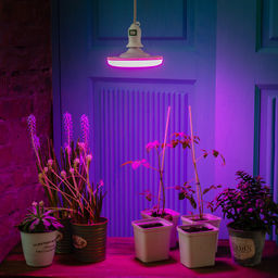 LED-U150-16W/SPSB/E27/FR PLP30WH Лампа светодиодная для растений. Форма UFO, матовая. Спектр для рассады и цветения. Картон. ТМ Uniel