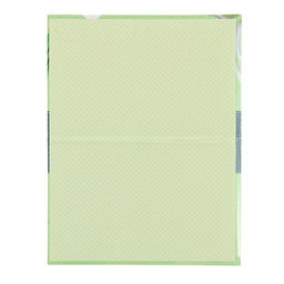 Папка для медицинского полиса Фрукты, 17,5 х 11,3 см - Simaland фото 2