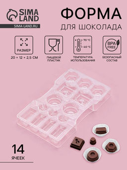 Форма для конфет и шоколада Ассорти, пластик, 14 ячеек, 20?12?2.5 см, прозрачная
