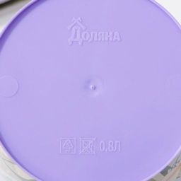 Цена за 2 шт. Горшок для цветов Доляна «Тропический лес», 800 мл, цвет лиловый