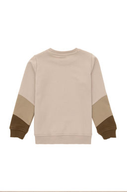 Толстовка с камнем для мальчика Неожиданная скидка в корзине - U.s. polo assn фото 5