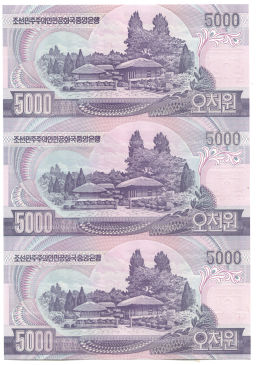 Банкнота 5000 вон 2006 года Северная Корея Лист из трех банкнот