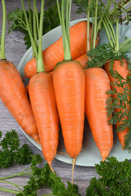 Морковь Рекси (сер.Грядка здоровья) (А) (ЦВ) 2гр - Поиск фото 2