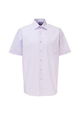 Сорочка мужская короткий рукав GREG Gb720/309/LV  фото 4