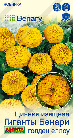 2031A Цинния Гиганты Бенари голден еллоу 7шт