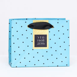 Пакет подарочный Это твой день , 14,5 х 11,5 х 6,5 см