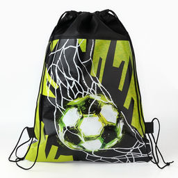 Мешок для обуви «Футбол» (полиэстер) 41×30 см