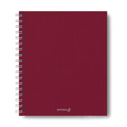 "Светоч" ТЕТ96-001 Тетрадь общая с пластиковой обложкой, 500 мкм., тиснение серебряной фольгой, A5 96 л. на гребне 65 г/кв.м , белизна 100 % 4 шт. клетка 000806 Рубиновая