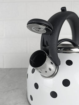 Чайник 2,5л нержавеющая сталь HR732-1 белый в черный горох OLS-001-5