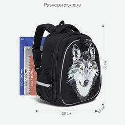 RAz-087-3 new Рюкзак школьный с картхолдером на держателе - Grizzly фото 16