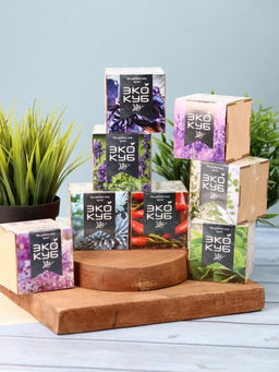 Набор для выращивания "Экокуб Magicme" - Перчик