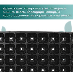 Цена за 2 шт. Кассета для рассады, на 32 ячейки, по 110 мл, пластиковая, чёрная, 53.5×27×5.5 см, Greengo