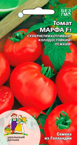 Томат МАРФА F1 Супернеприхотливый! Холодостойкий! Лёжкий!