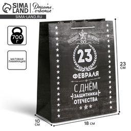 Цена за 2 шт. Пакет подарочный ламинированный, упаковка, С 23 февраля, MS 18?23?10 см