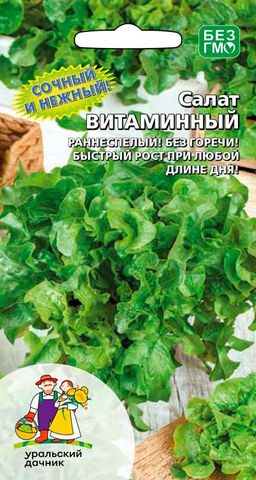 Салат ВИТАМИННЫЙ