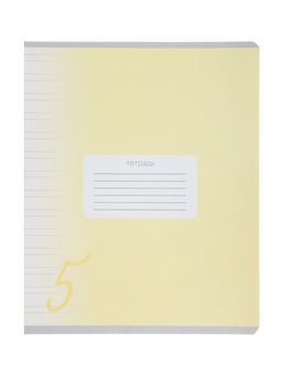 Цена за 20 шт. Тетрадь 12 листов в узкую линию Calligrata «Пятёрка», обложка мелованный картон, МИКС