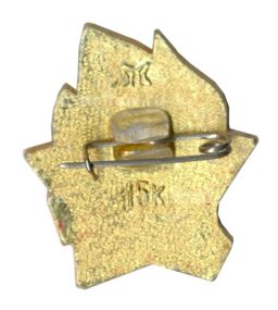 Значок Всегда Готов!