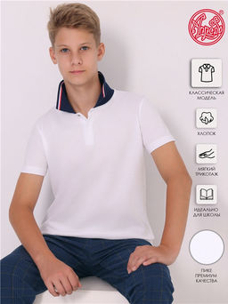 футболка-поло 1ПДПК4486090