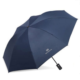 Зонт Umbr-310-Blue