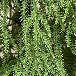 Ёлка 210 см "Хвойные лапки" резина (672 ветки)