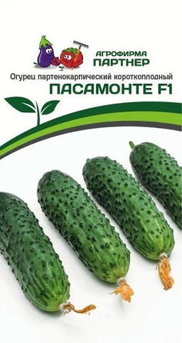 3092P Огурец ПАСАМОНТЕ F1 5шт