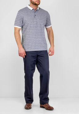 Джемпер мужской с воротником поло короткий рукав GREG G144-ZH-2 (серый м.)  фото 3