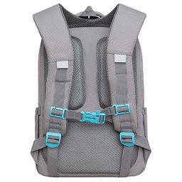 RG-466-3 Рюкзак школьный - Grizzly фото 3