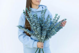 Эвкалипт BABY BLUE куст - Пыльно-зеленый - Real touch фото 2