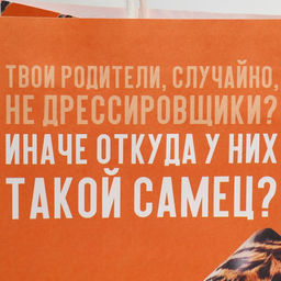 Цена за 2 шт. Пакет подарочный, упаковка, Самец, 22?22?11 см