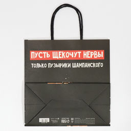 Пакет подарочный новогодний Только пузырики, 22 х 22 х 11 см - Дарите счастье фото 8